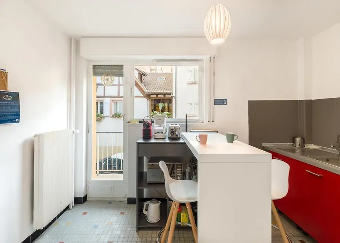 Travel Homes -the Ecolier, 1min From Little Venice * Colmar